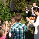 piknik (58)